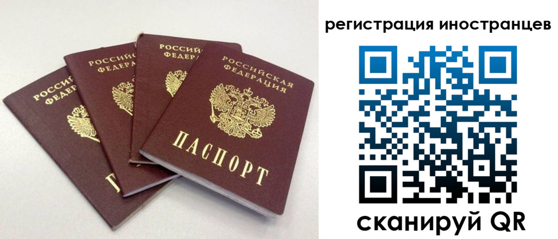 временная регистрация для школы в Ясногорске